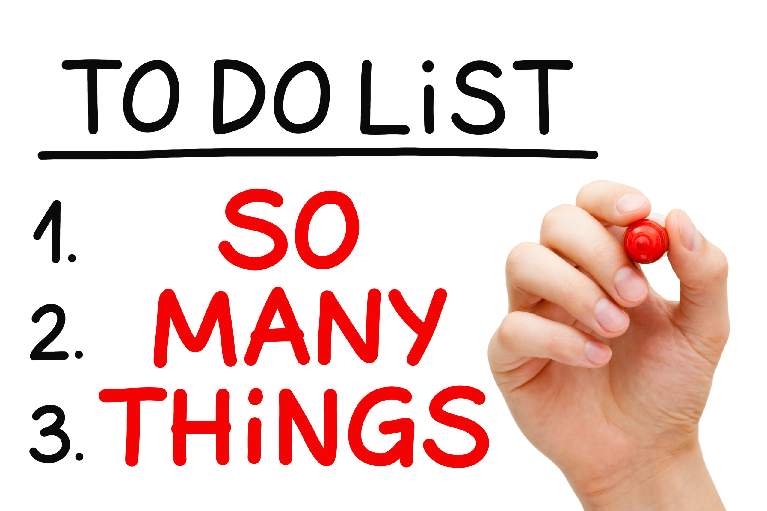 So Many Things To Do List Rachel Wilmann